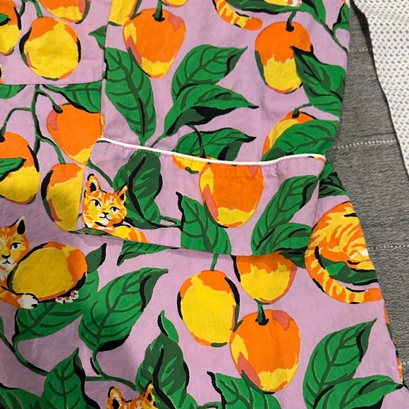 Printfresh Orange Cat Print Plus Size Nightshirt - Picture 5 of 6
